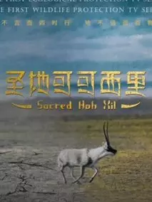 圣地可可西里